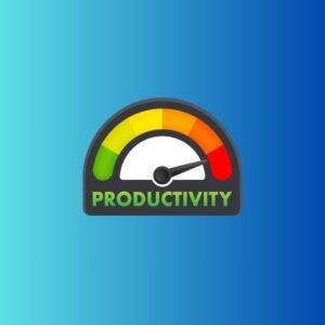 Productivity Hacks for Digital Entrepreneurs(ebook)